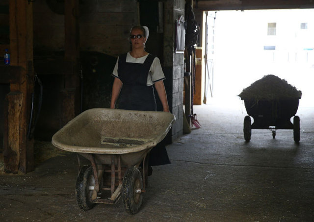 Basit ve sade bir yaşam sürmeleri gerektiğine inanan, çalışkan ve disiplinli bir topluluk olarak bilinen Amish'ler kendilerini inaçları doğrultusunda yaşamaya adıyor.