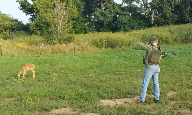 GEYİĞİN HAREKETİ AVCIYI ŞAŞIRTTI - Doğası gereği çok dikkatli olan ve kendini tehlikede hissettiği zaman oradan hızlı bir şekilde uzaklaşan geyik bu sefer öyle yapmadı.