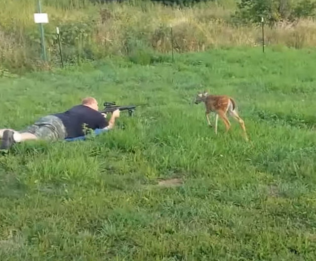 Ardından da avcının silahını yalamaya başladı.