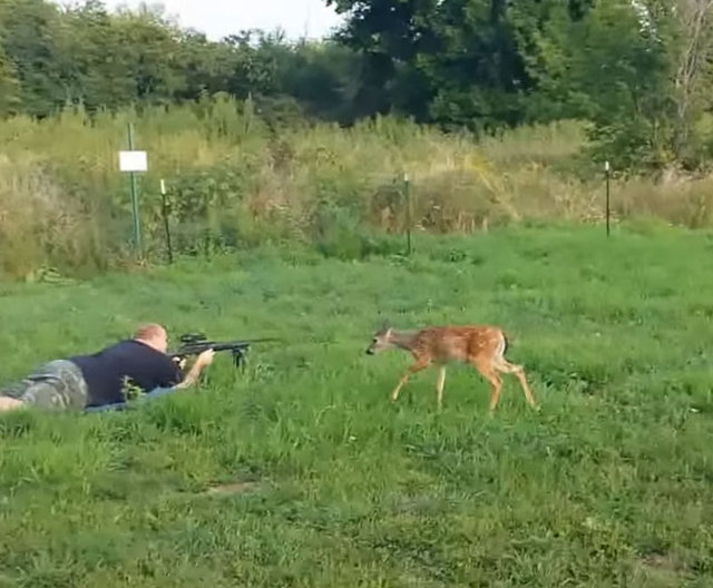 Hatta dost canlısı geyik önce avcının ellerini koklamaya başladı.
