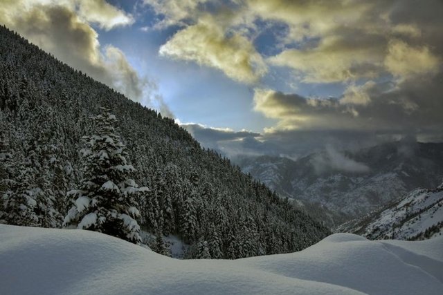 Zigana Dağ Geçidi - Gümüşhane