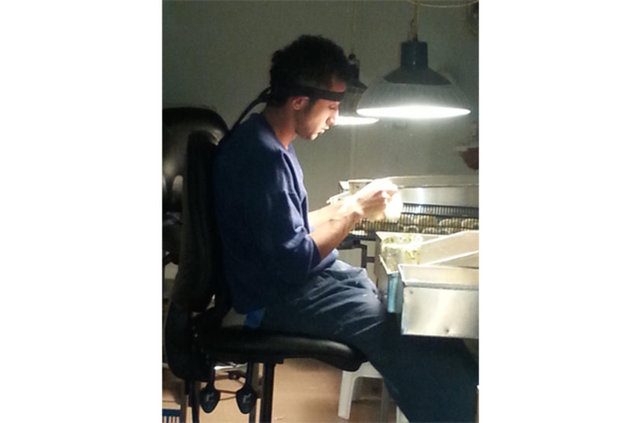   -   - Kavlak bu zamana kadar Türkiye, İsrail, Hollanda, Belarus ve Rusya'da seksörlük yaptı. Şimdi ise meslektaşı ve arkadaşı Mustafa Beşpınar ile Macaristan yolunda...