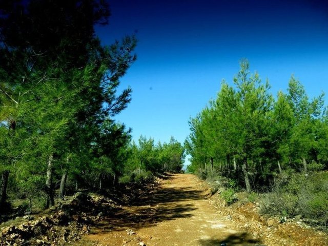 Kanyonun uzunluğu 2 km, genişliği 20-30 metre, yüksekliği ise 115 metredir. 