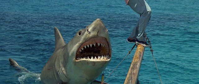 8. Jaws