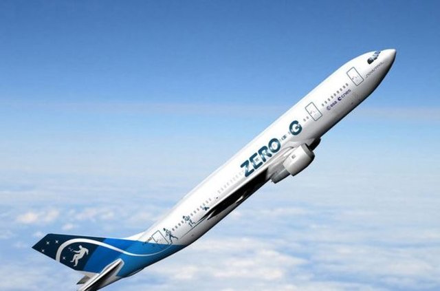 Airbus - A310 ZERO-G - FRANSA