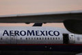 <p>100 - AEROMEXICO</p>\n<p>(Meksika)</p>
