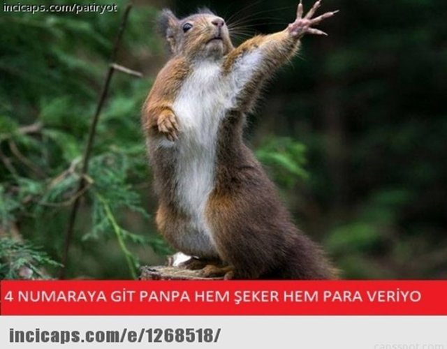 Ramazan bayramı sosyal medyada 'caps'lerle kutlanıyor...