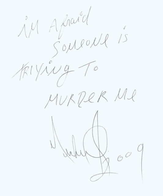 Notların, Michael Jackson'a ait olduğunu ünlü yıldızın arkadaşı Michael Jacobshagen iddia ediyor.