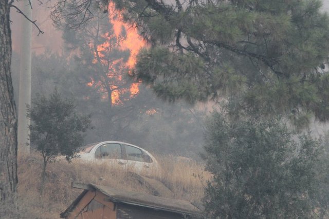 Ayrıca ahırlarda bulunan hayvanlar da yine ekipler tarafından çıkarılarak güvenli bir yere götürüldü.