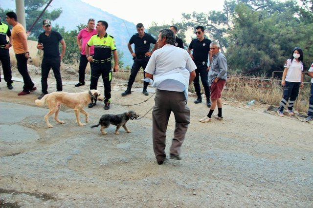 Çöplük alanı kaplayan alevler bir süre sonra ormanlık alana sıçradı.