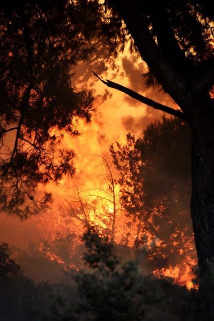 Vatandaşların da ekiplere yardımcı olduğu yangın bölgesine özel itfaiye ve tankerlerle su taşınıyor.