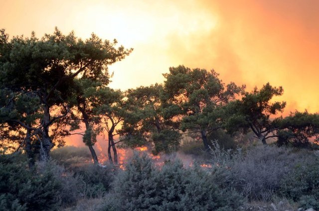 ÇÖPLÜK ALANDAKİ ALEVLER ORMANLIK ALANA SIÇRADI - AA'nın haberine göre, Muğla'nın Bodrum ilçesinde, katı atık depolama alanında çıkan yangın ormanlık alana sıçradı.