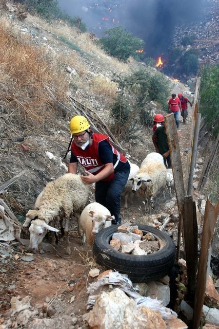 Ekiplerin zor anlar yaşadığı yangında, çöplük alan yakınında, alevlerin tehdit ettiği yerleşim yerindeki evlerde kalanlar, Muğla 911 Arama Kurtarma Araştırma Derneği ve AKUT Bodrum ekibinin de desteğiyle boşaltıldı.