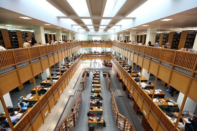 İstanbul 29 Mayıs Üniversitesi