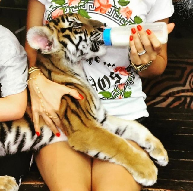 SANEM TEZMAN