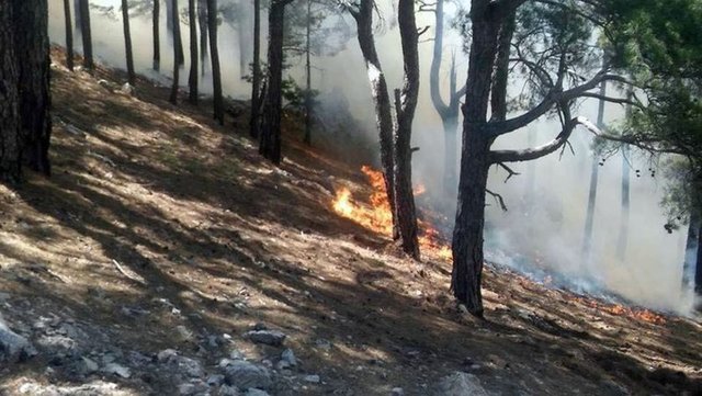 MERSİN ANAMUR