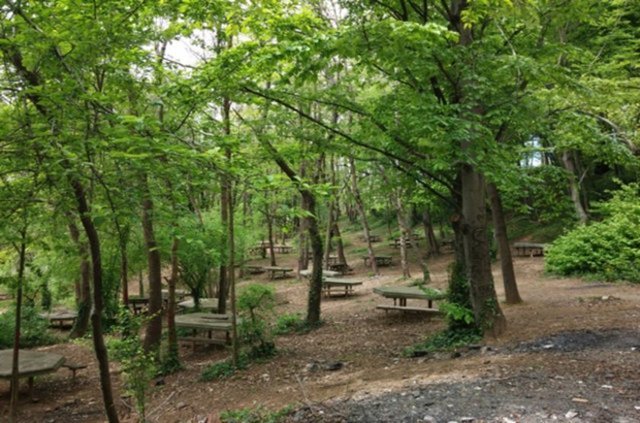 Kaymakdonduran - Beykoz'da, Osmanlı döneminin ünlü Kanije Beylerbeyi Ahmet Paşa tarafından yaptırılan çeşmesinin soğuk suyuyla meşhur. Ahşap masalarla donatılmış çimenliklerde harika bir piknik yapabilir ya da küçük büfenin lezzetlerini deneyebilirsiniz.