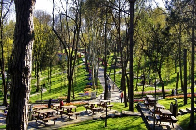 Azizpaşa - Maslak, Gültepe, Levent, Kağıthane, Eyüp gibi yerleşim yerlerine yakınlığı, ilginç bitki örtüsü ve geniş piknik alanlarıyla rağbette. Bölgenin girişinde ziyaretçileri düzlükler karşılıyor. İsterseniz buralarda piknik yapabilir, isterseniz biraz daha ileri giderek tepelere çıkabilirsiniz.