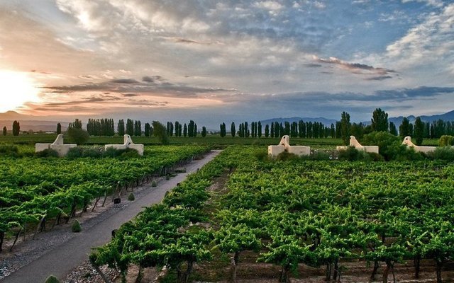 8. Cavas Wine Lodge, Mendoza, Arjantin