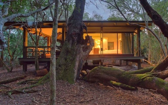 44. andBeyond Phinda Forest Lodge, Phinda Koruma Bölgesi, South Africa