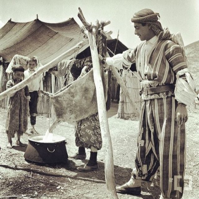 Hakkari Cilo Dağı'nda yaşam