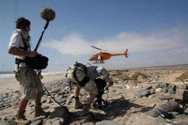 Helikopterin yanaşamayacağı yerlerde, beline ip bağlayarak ağaçların tepelerine iniyor.