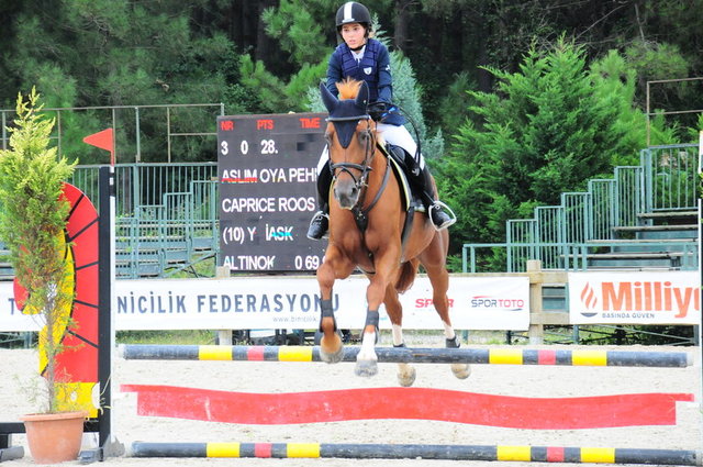 ASLIM OYA PEHLİVANLAR