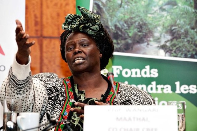 Wangari Maathai - 2004 yılında Nobel Barış Ödülü alarak bu ödülü alan ilk Afrikalı kadın olmuştur. -  