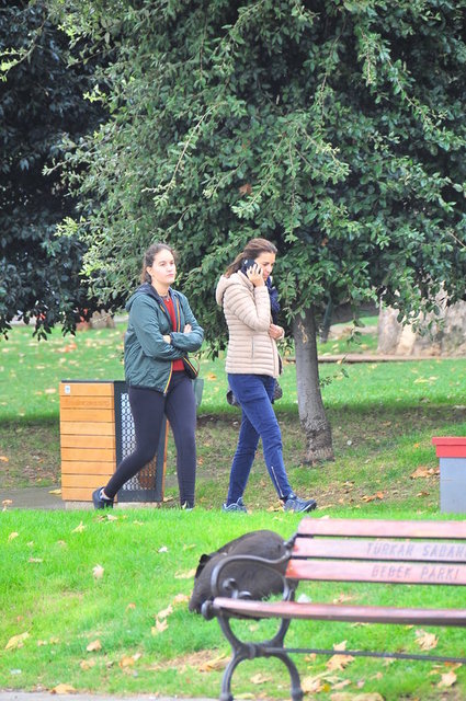 SERRA TAŞKENT