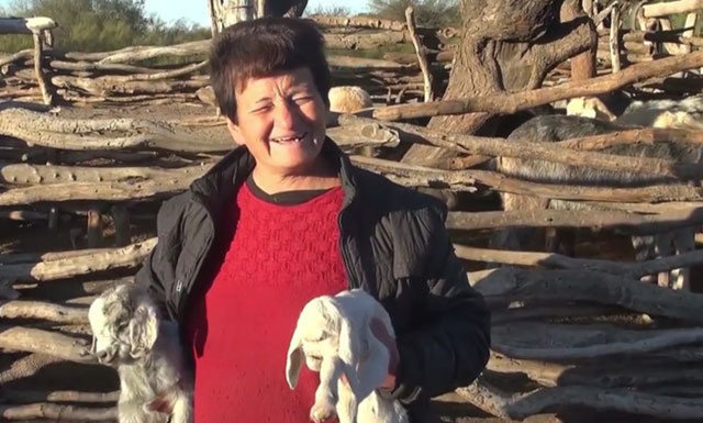 Eşine nadiren rastlanan hayvanın, doğum öncesi anne karnında yaşanan bir mutasyona bağlı olarak rahatsızlık geçirdiği düşünülüyor.