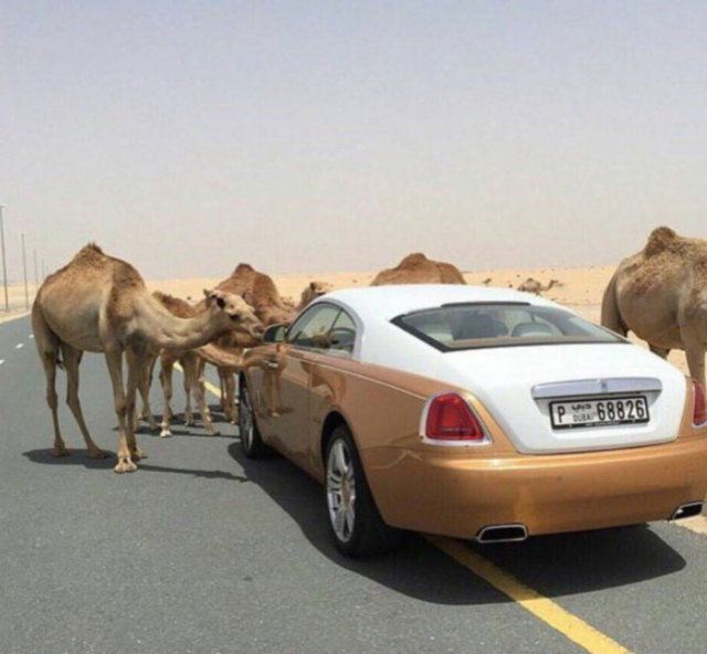 İşte Dubai'nin zengin çocuklarının ihtişamlı hayatları...