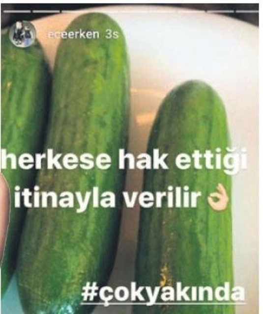 Uçar'ın bu sözleriyle küplere binen Ece Erken, önceki gün Instagram'da salatalık fotoğrafı paylaşıp "Herkese hak ettiği itinayla verilir. Çok yakında…" notunu düştü.