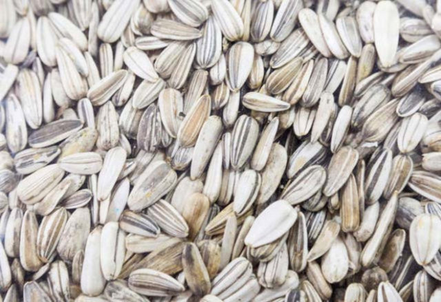 ÇEKİRDEKLERİ TAZE TUTARÇekirdekler zaman içerisinde yumuşamaya ve bayatlamaya meyillidirler. Ancak çekirdeği saklamış olduğunuz dolaplara ve kaplara silika jel koyarak bayatlamasını ve yumuşamasını engelleyebilirsiniz.