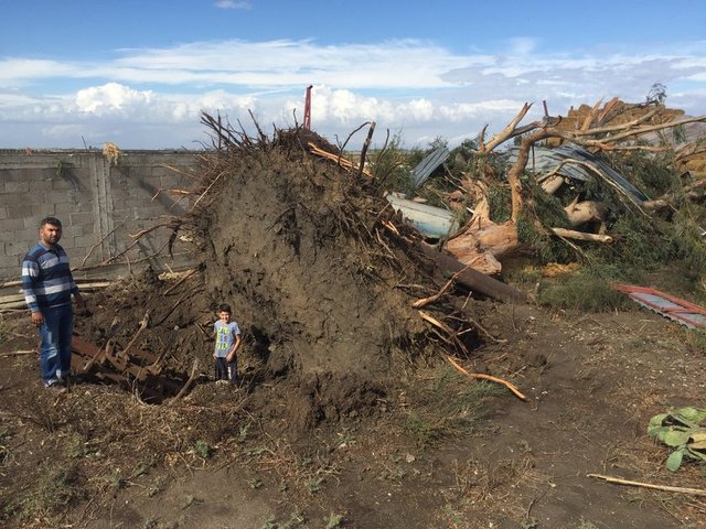 Hortum nedeniyle 5 evde maddi hasar meydana geldi. Ahmet Avşar (67) isimli vatandaşın evinin duvarı yıkılırken, 50 yıllık dev ağaç kökünden söküldü. Mazot tankeri yan yattı. Avşar'ın evinin istinat duvarı yıkılırken, evinin bütün kapıları ve pencereleri de yerinde sökülerek hasar gördü, iki kaz telef oldu. 