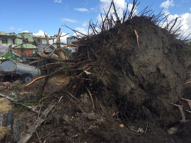 İsmet Pehlivan isimli vatandaşın evinin ise üst katındaki tek odalı yerin duvarı çöktü. Vatandaşlar olayın ardından canlarını kurtardıklarına sevinirken maddi hasar meydana geldiği için üzülüyor. Savaş alanına dönen köyde vatandaşlar temizlik çalışması başlattı.