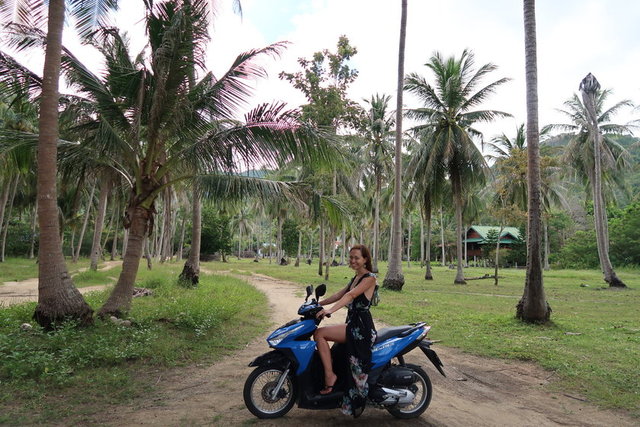 KOH PHANGAN ADASI - TAYLAND -   -  