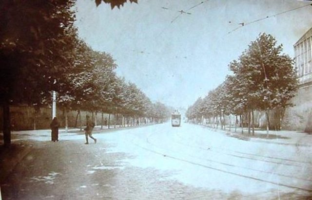 Dolmabahçe Beşiktaş arası "Ağaçlı Yol"