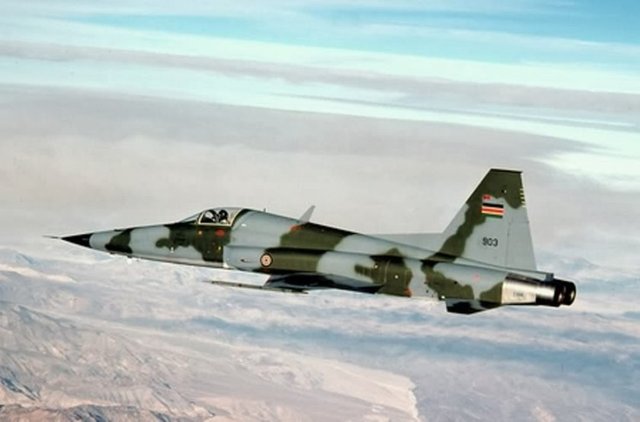 KENYA - 17 SAVAŞ UÇAĞI - 17 X F-5E 