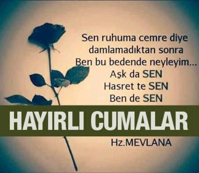 Şayet biz bu Kur`an`ı bir dağın üzerine indirmiş olsaydık, andolsun onu Allah korkusundan saygı ile baş eğmiş, parça parça olmuş görürdün. İşte Biz, belki düşünürler diye, insanlara böyle örnekler veririz." (Haşr Sûresi / 21) Cuma Gününüz Mübarek Olsun.