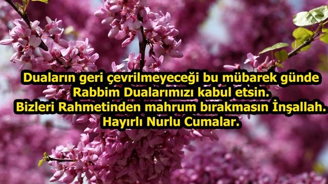 Resimli cuma mesajları - 10 - Şüphesiz biz yeryüzünde olan şeyleri, onun üzerinde ziynet/süs yaptık. Böylece insanların hangisinin amel bakımından daha güzel olduğunu denemek istedik. (Kehf-7) Hayırlı Nurlu Cumalar.