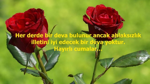 Resimli cuma mesajları - 7 - İki hayatı imha edenküfr-ü mutlaktan kurtarmak, bu zamanda pek çok ehemmiyetlidir. Bir parça meşakkat olsa da, şevk ve şükür ve sabırla karşılamalı. Hayırlı Nurlu Cumalar.