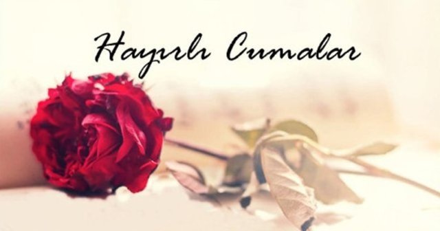 Resimli cuma mesajları - 44 - Avuç içlerinizde sakladığınız bütün duaların kabul olması dileğimle. Hâyırlı Cumalar.