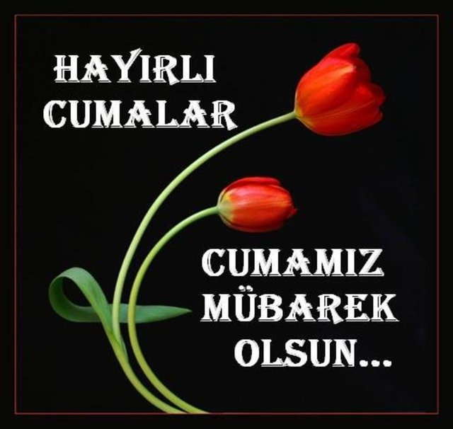 Resimli cuma mesajları - 38 - Allahümme salli ve alâ seyyidinâ Muhammed ve alâ âli seyyidinâ Muhammed Hayırlı Cumalar.