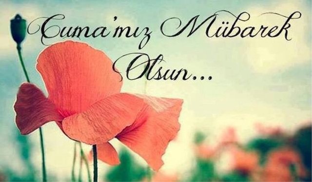 Resimli cuma mesajları - 6 - Allah'ım bize "İnşallah olur" diye dua edip hayalini kurduğumuz her şeyin "Çok şükür oldu" sevincini yaşat. Hayırlı Cumalar.