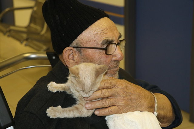 Meşe, kedisini öpüp, okşayarak, sevdi. Kedi daha sonra Meşe'nin kızının evine götürüldü.