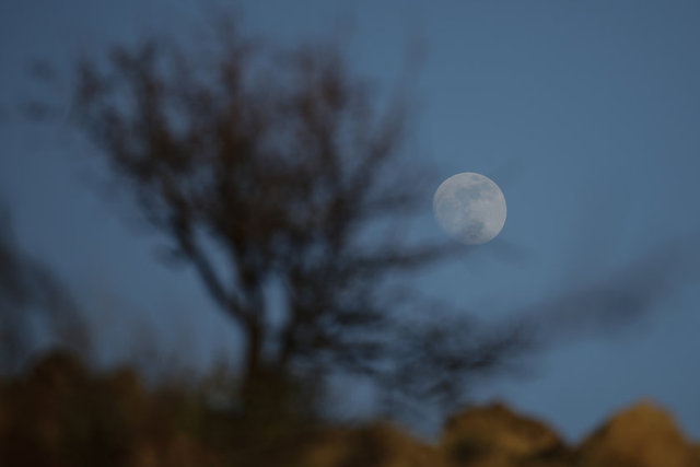 Muğla'nın Bodrum ilçesinde akşam saatlerinde ortaya çıkan dolunay büyüledi