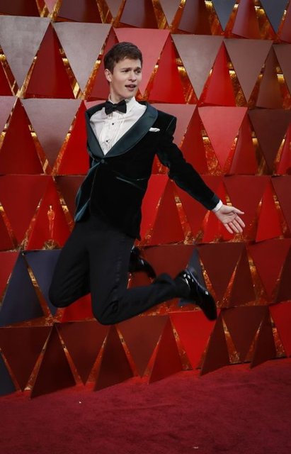 ANSEL ELGORT 