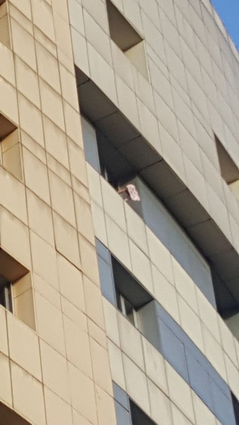 Sgk Anlasmali Dis Hastaneleri Istanbul Anadolu Ve Avrupa Yakasi Hayatin Icinden Haberler