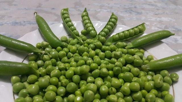6- Dondurulmuş bezelye