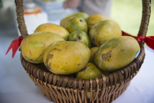 9- Mango